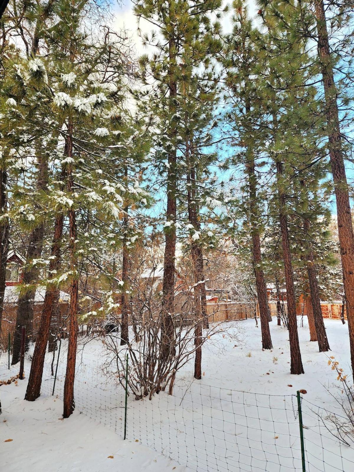 Bear Escapes II Affordable Luxury Cabin Sugarloaf Exterior photo
